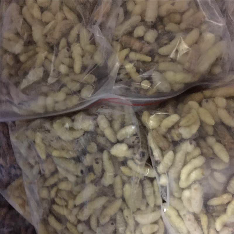 野生/生态养殖马蜂蜂蛹-大自然的黄金营养库，餐桌上的