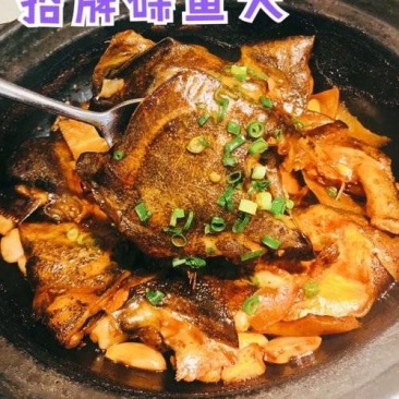 碟鱼头