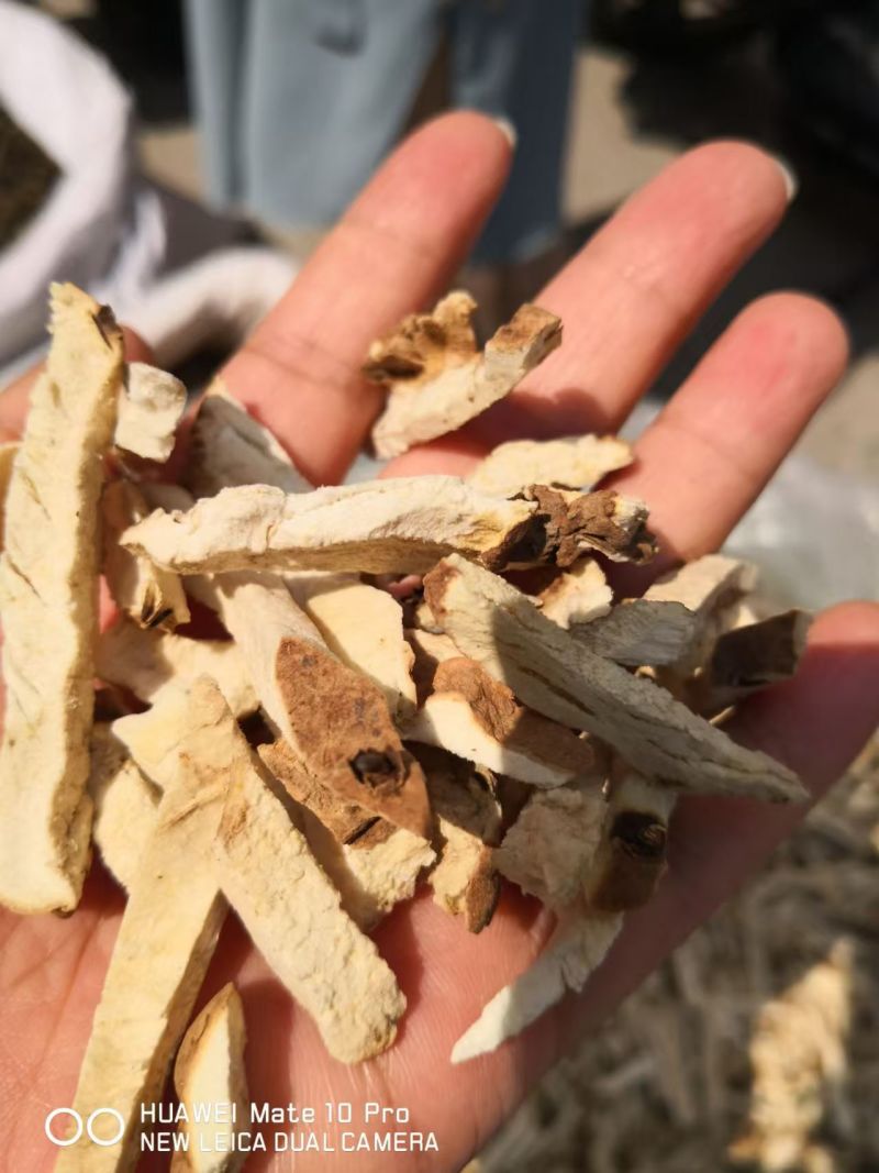 绵萆薢好通货2斤包邮量大优惠