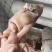 【熟食牛蹄】
