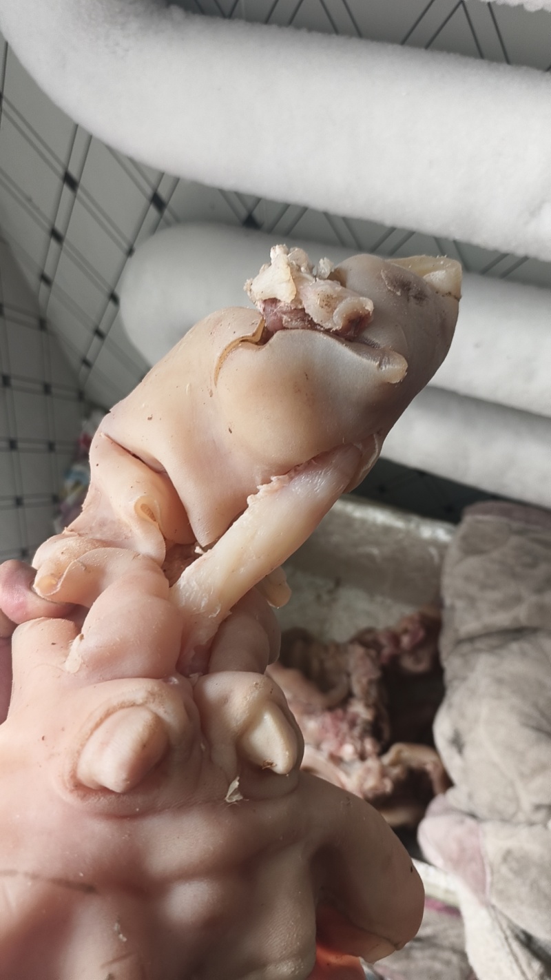 【熟食牛蹄】
