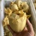 阳山水蜜桃奉化水蜜桃纯甜无酸要的来懂货的来