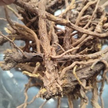 黄芩个黄芩片批发零售正宗山西黄芩内蒙黄芩高含量