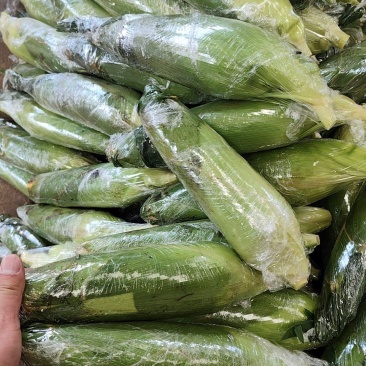 云南水果玉米电商货，工厂货，大量实力供应