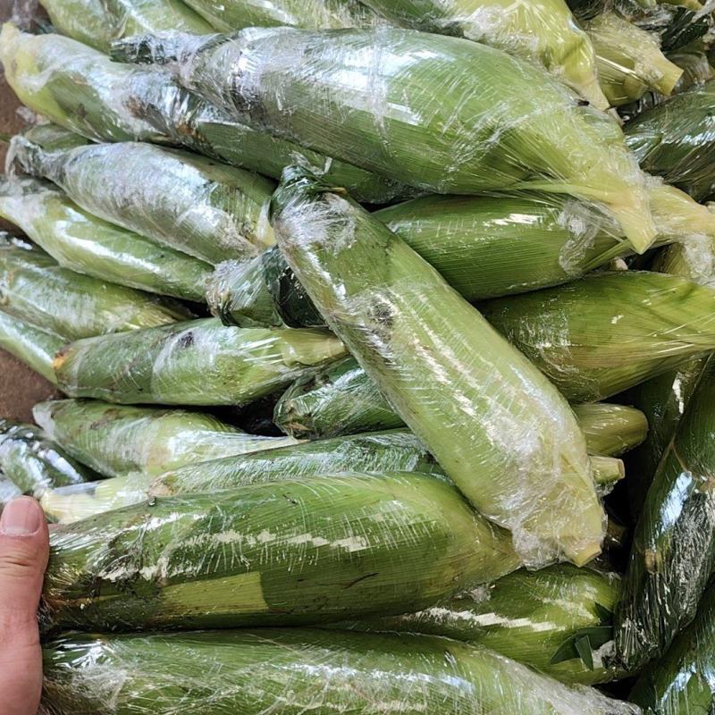 云南水果玉米电商货，工厂货，大量实力供应