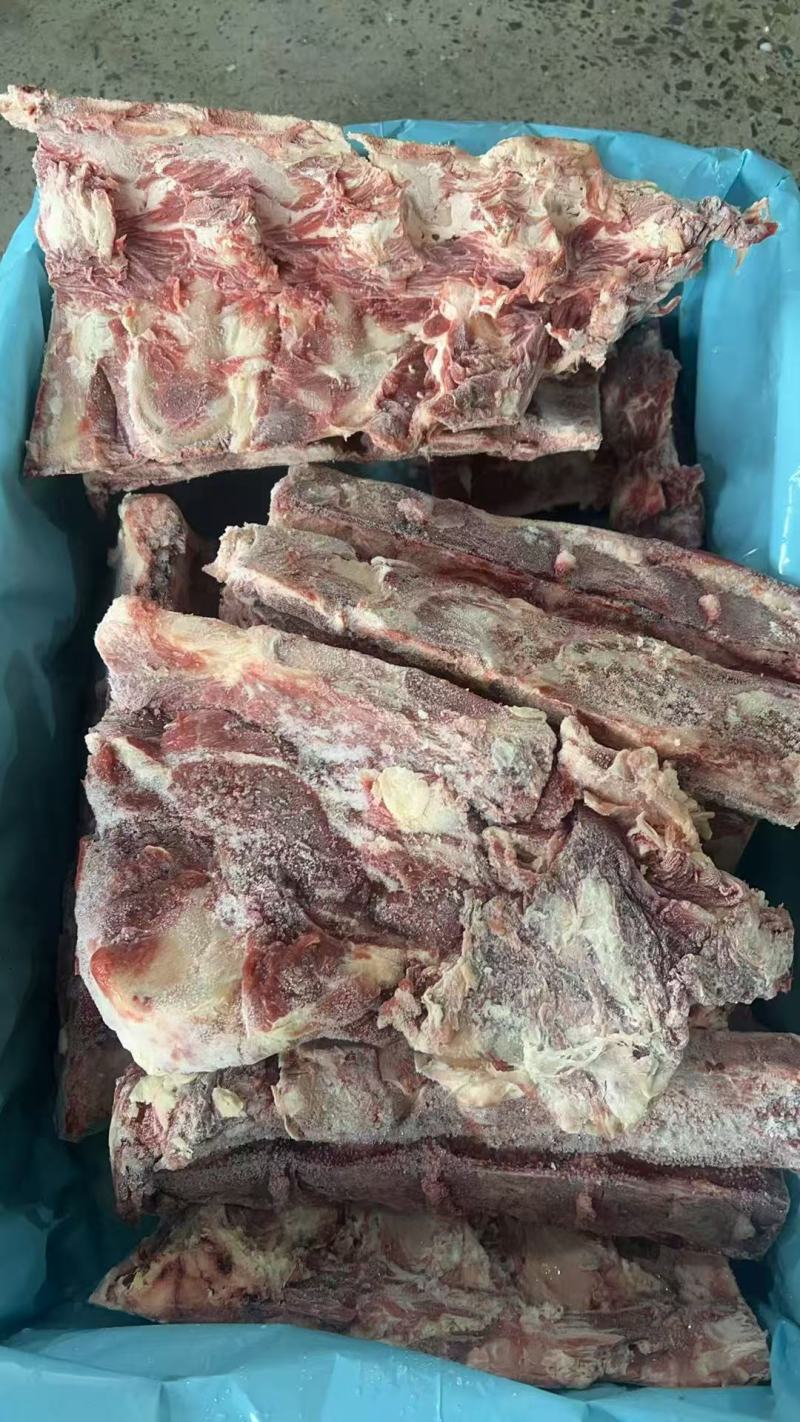 牛腰椎骨