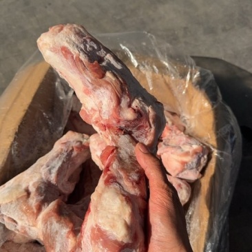 前腿骨