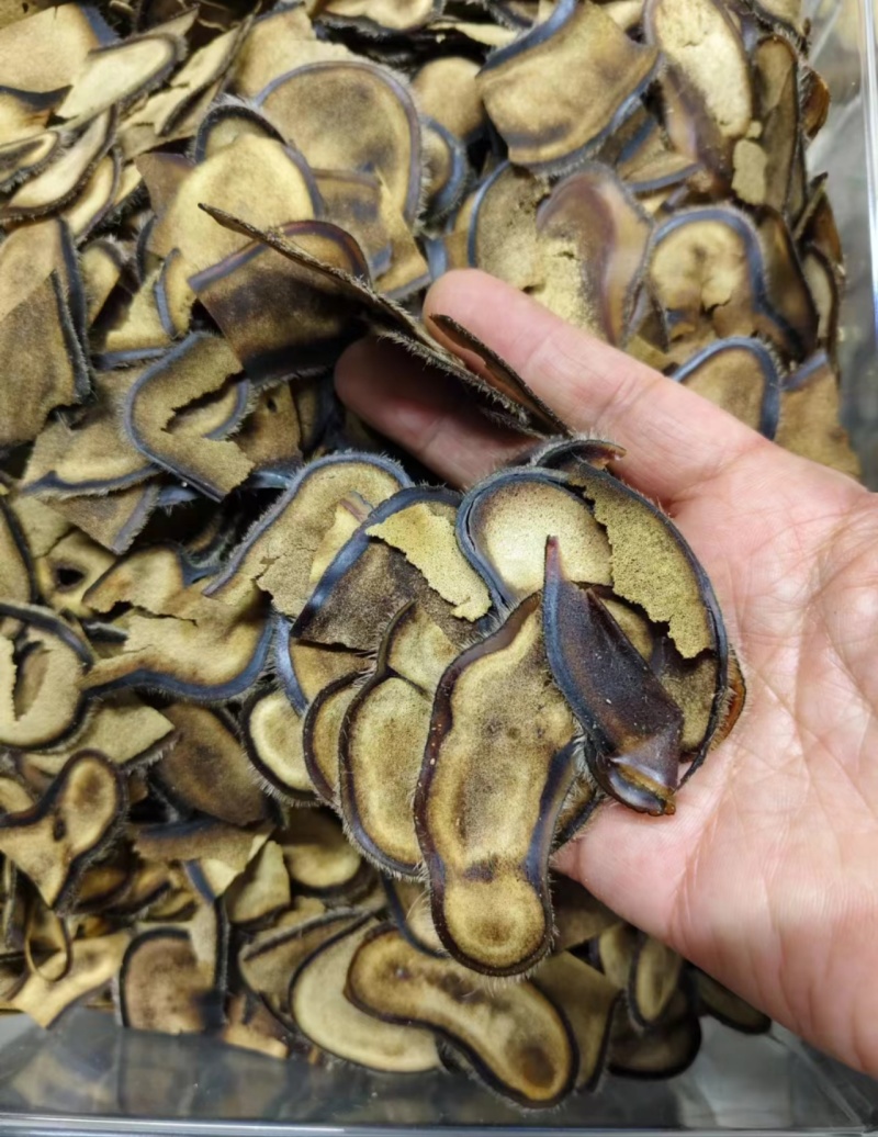 鹿茸破损半腊片，长白山鹿茸片，自用款，性价比高