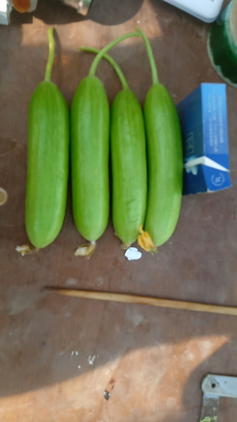 水果小黄瓜