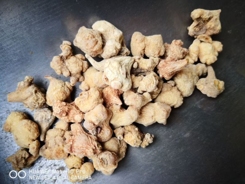 珠子参各种规格选择下单2斤包邮