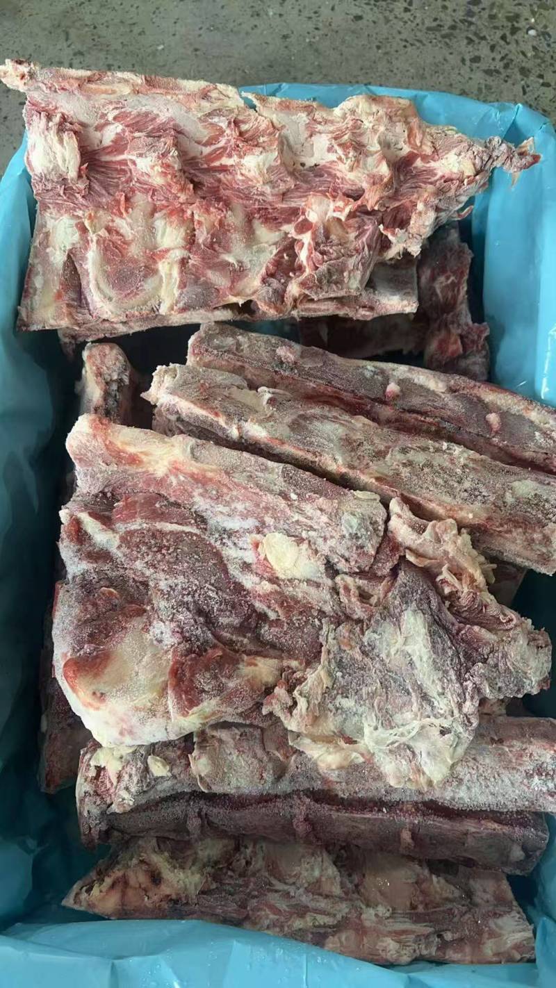 腰椎骨