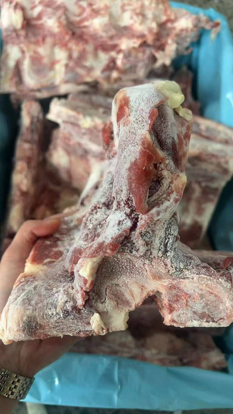 腰椎骨