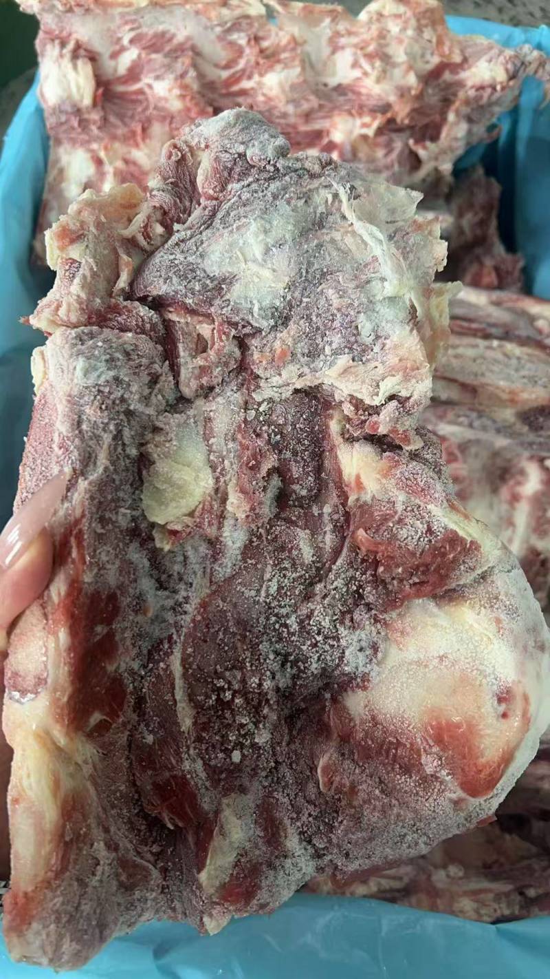 腰椎骨