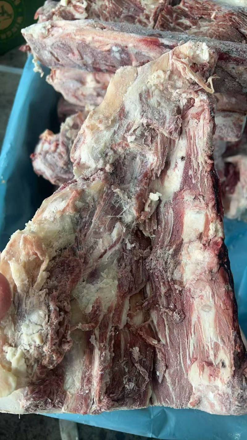 腰椎骨