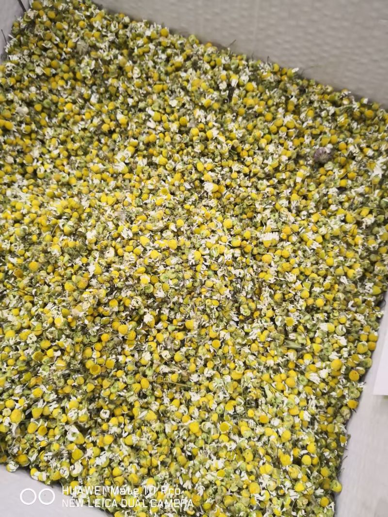 洋甘菊泡茶选货1斤包邮量大优惠