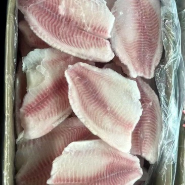 鲷鱼片