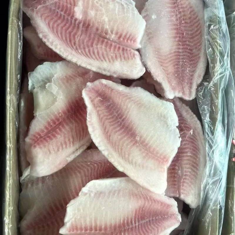 鲷鱼片