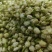 茉莉花新货茉莉花干大货批发零售假一赔十颜色好干净无杂