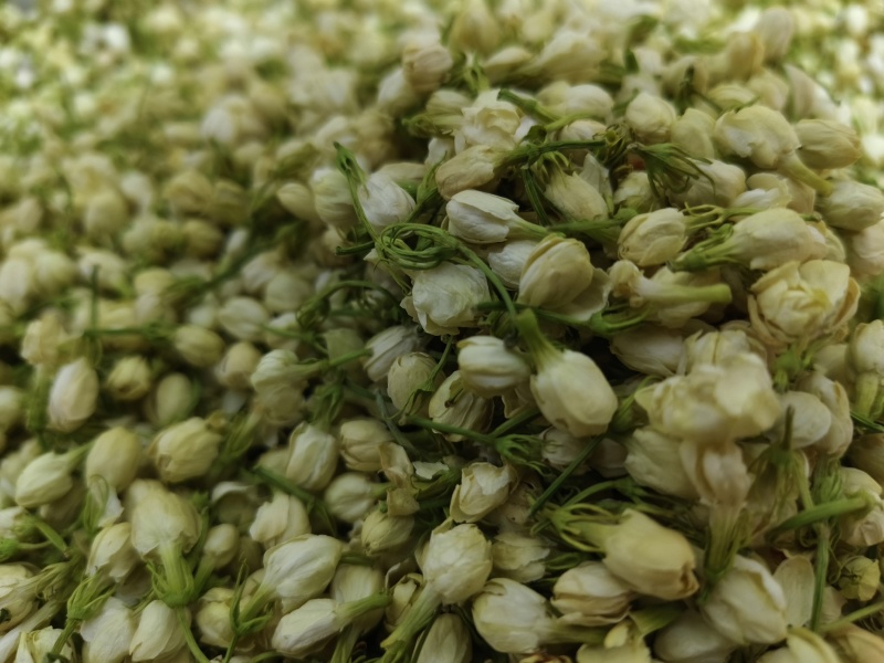 茉莉花新货茉莉花干大货批发零售假一赔十颜色好干净无杂
