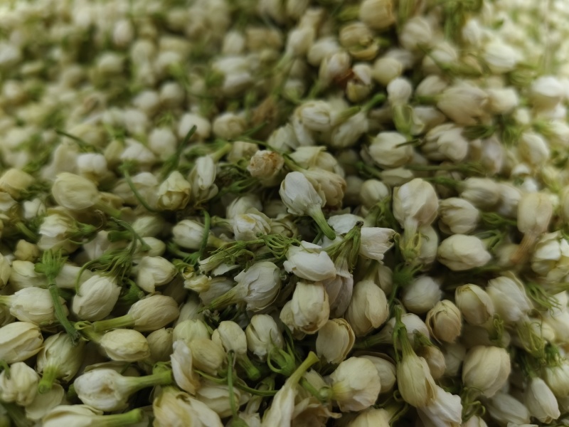 茉莉花新货茉莉花干大货批发零售假一赔十颜色好干净无杂