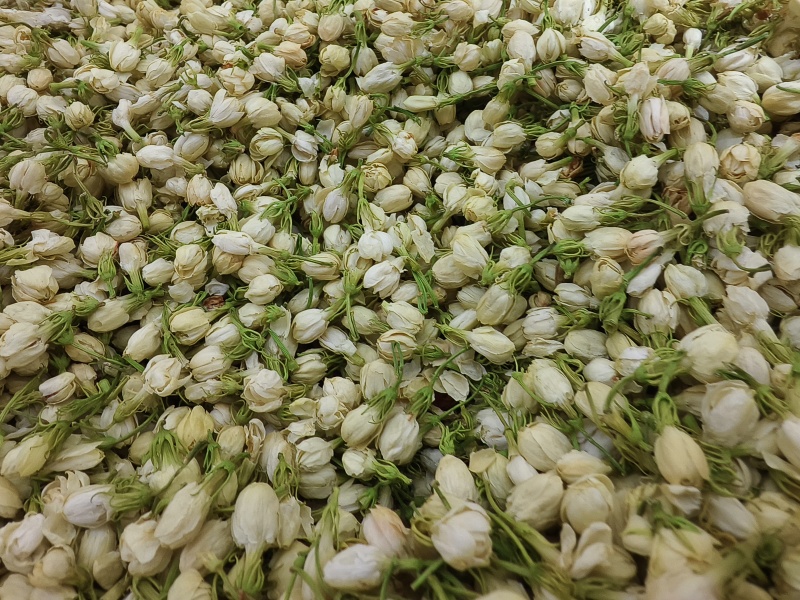 茉莉花新货茉莉花干大货批发零售假一赔十颜色好干净无杂