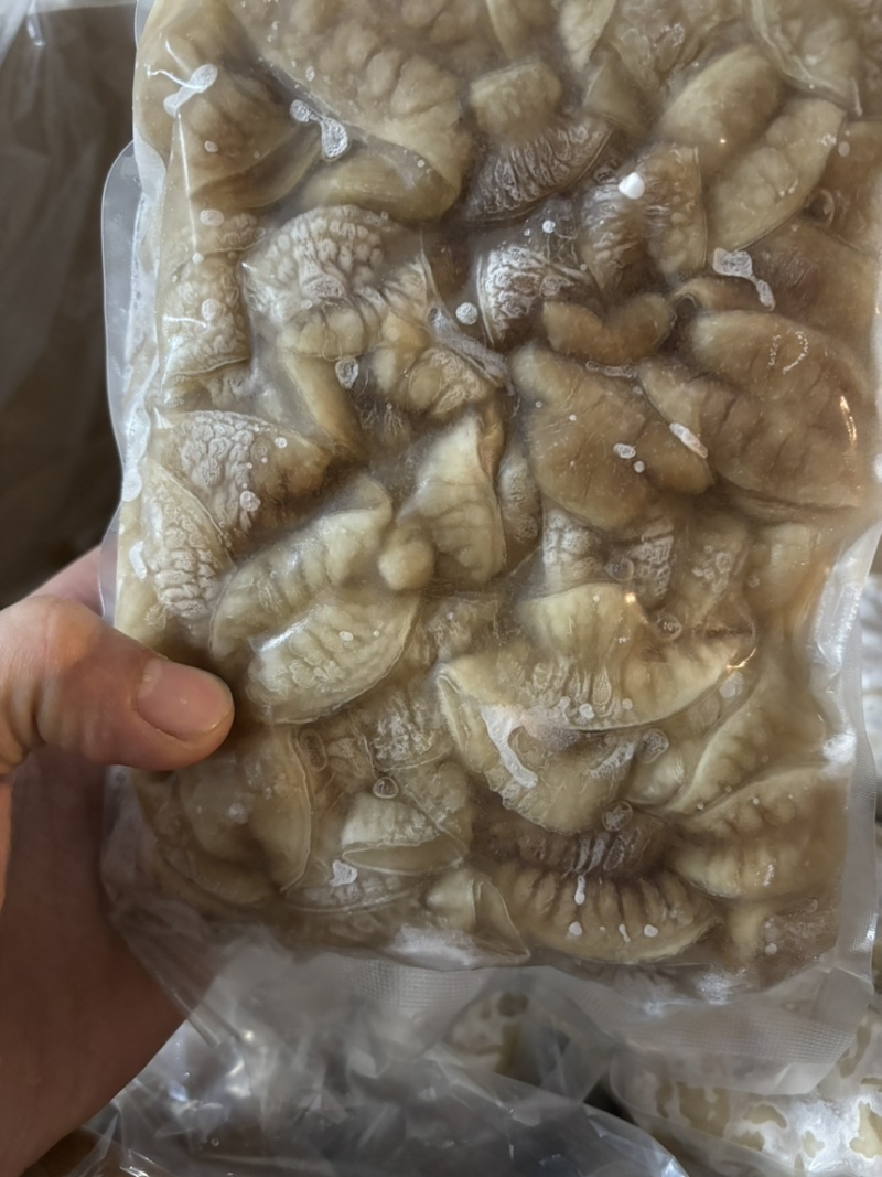 鱼肠