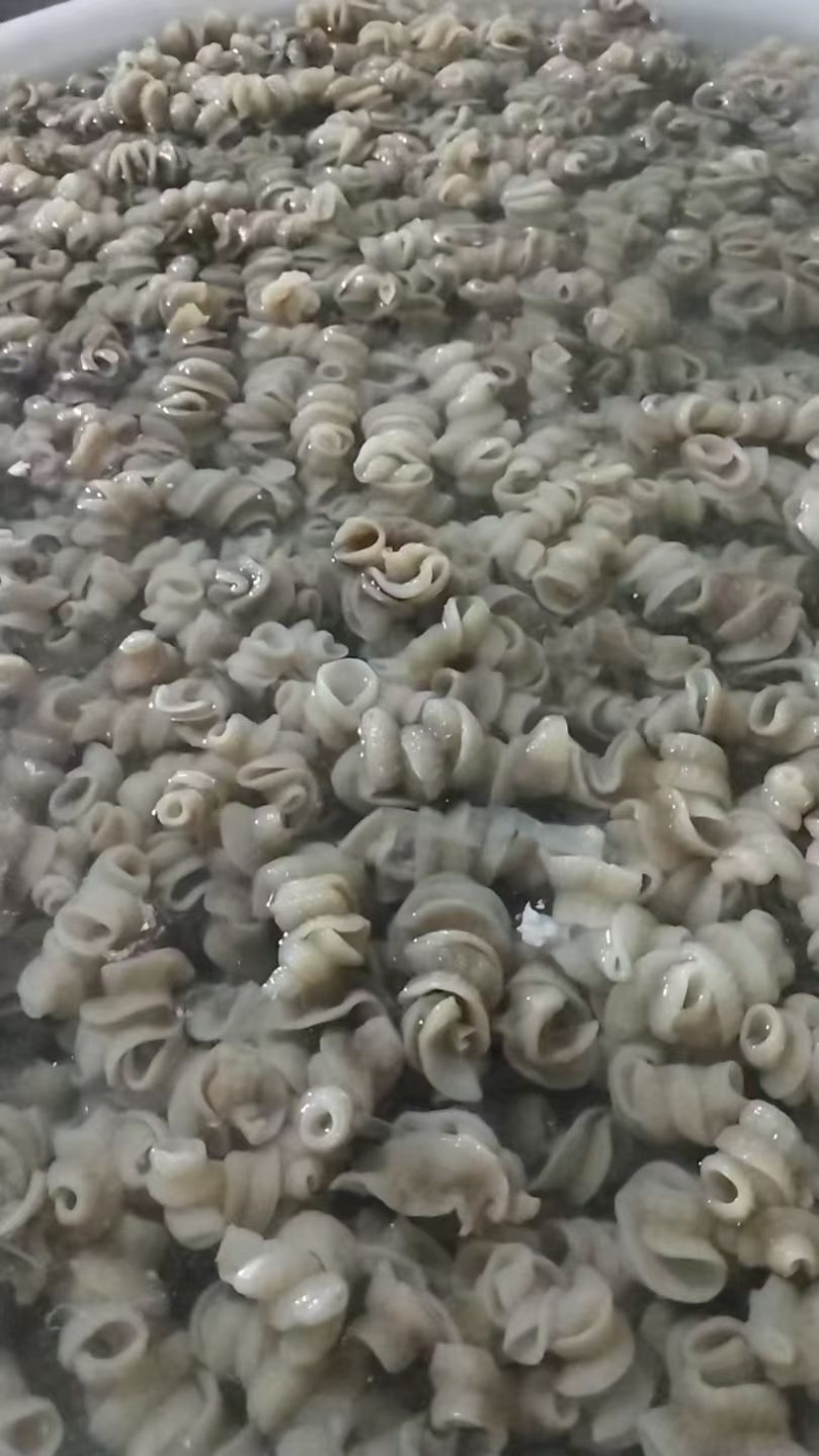 鱼肠