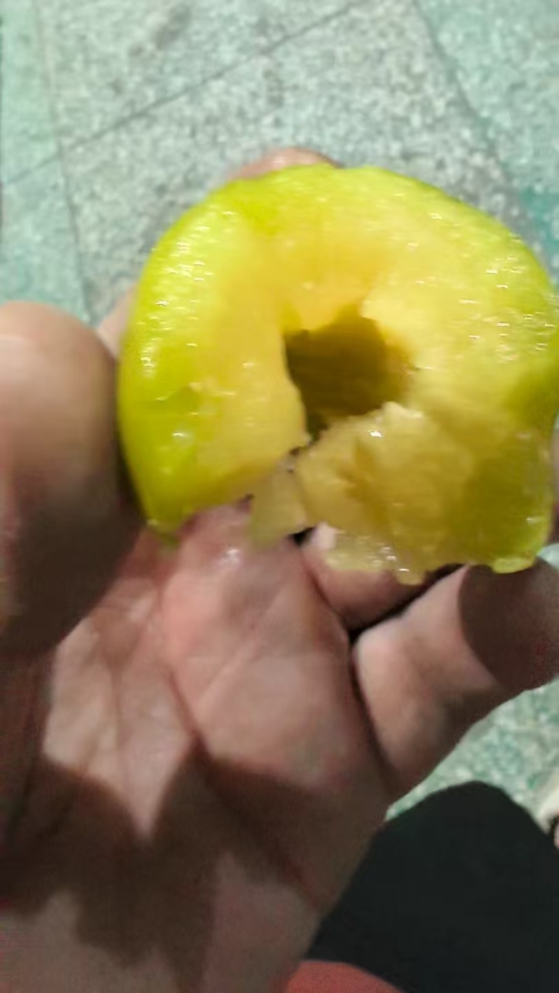 三月李电商代发拼多多～抖音～视频号日供10000+