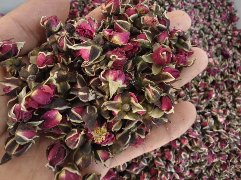 玫瑰玫瑰花新货玫瑰茄无硫玫瑰平阴玫瑰花干金边玫瑰花瓣