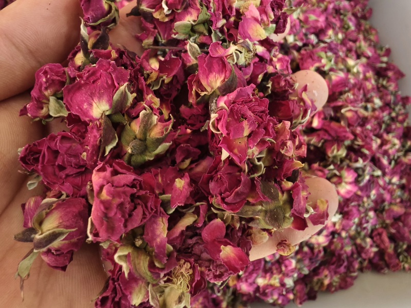 玫瑰玫瑰花新货玫瑰茄无硫玫瑰平阴玫瑰花干金边玫瑰花瓣