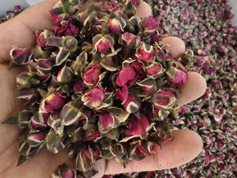 玫瑰玫瑰花新货玫瑰茄无硫玫瑰平阴玫瑰花干金边玫瑰花瓣