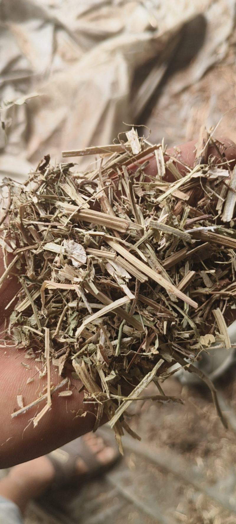 出售花生秧