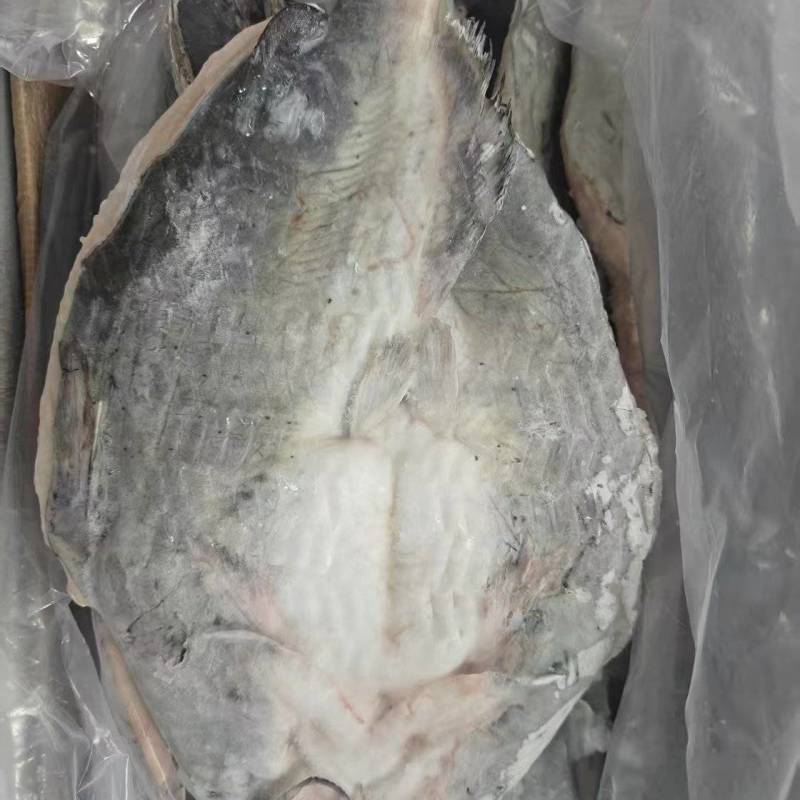 清江鱼