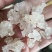 雪燕天然拉丝植物燕窝2斤包邮量大优惠