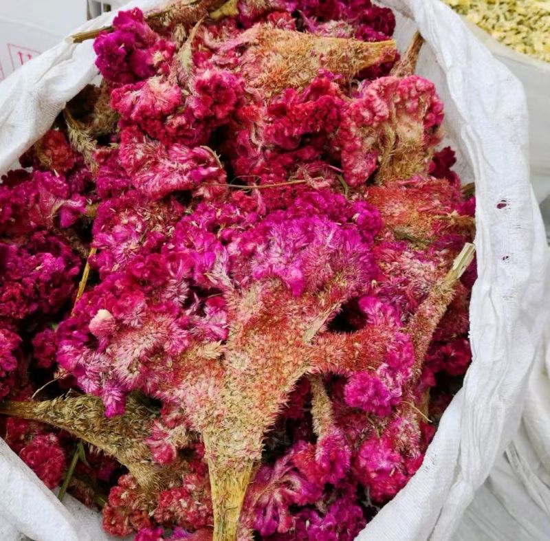 鸡冠花选货干货2斤包邮量大优惠