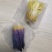 8-10朵精选台湾九品香水莲花茶独立包装基地直发包邮十三品花
