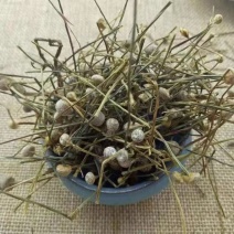 谷精草地道选货2斤包邮量大优惠