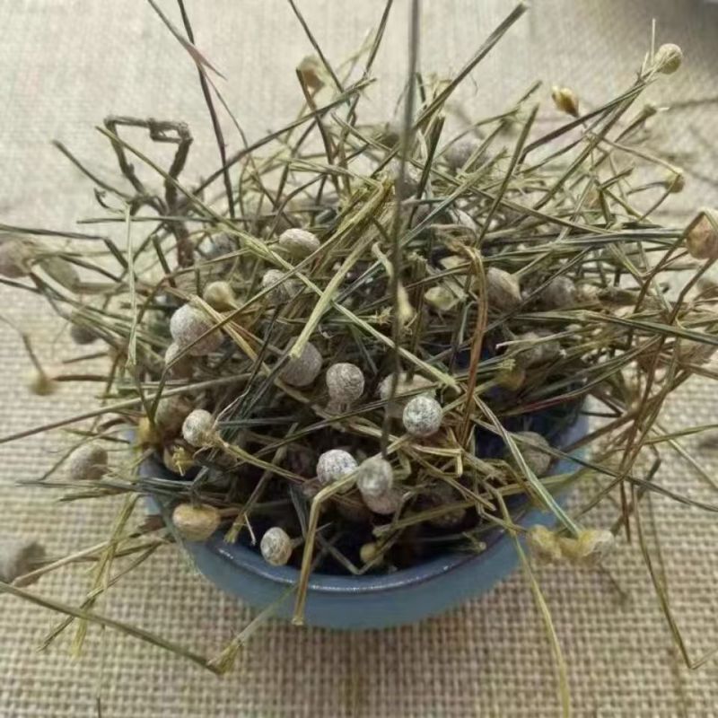 谷精草地道选货2斤包邮量大优惠
