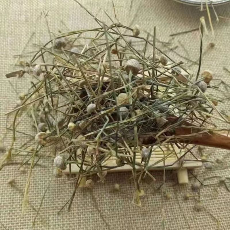 谷精草地道选货2斤包邮量大优惠
