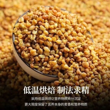 黄苦荞罐装原味麦香净重发货黄苦荞滋补经典方