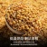 黄苦荞罐装原味麦香净重发货黄苦荞滋补经典方
