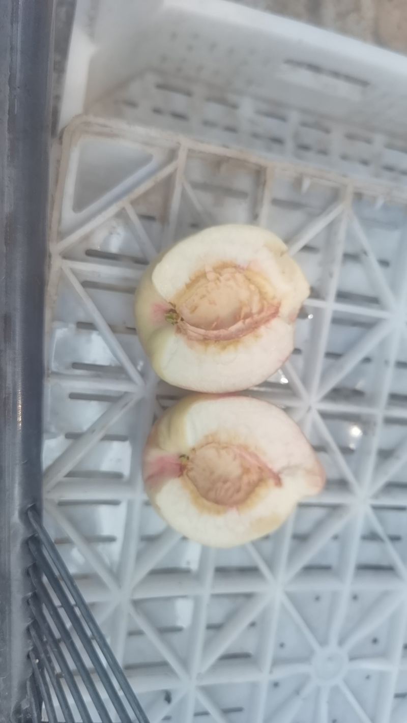 十四号桃