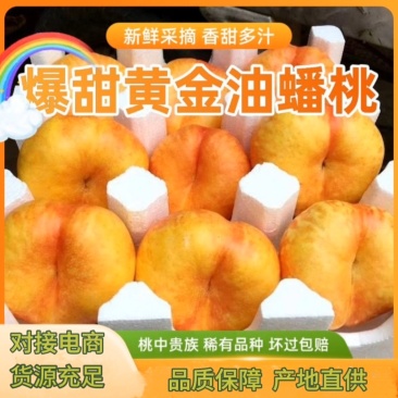 蟠桃9号一手货源品质保证好吃不贵量大价优对接全国客商