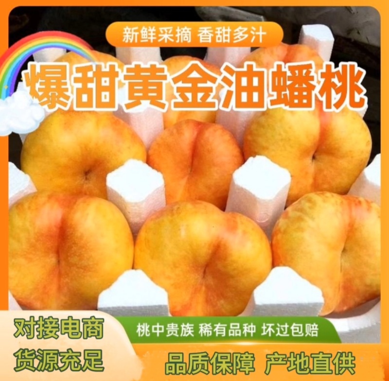 蟠桃9号一手货源品质保证好吃不贵量大价优对接全国客商