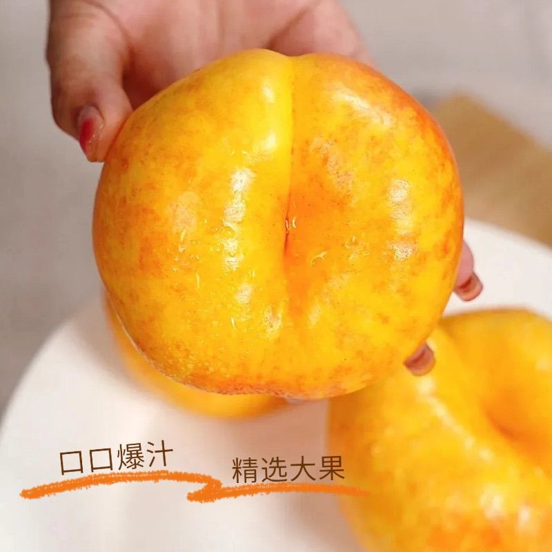 蟠桃9号一手货源品质保证好吃不贵量大价优对接全国客商