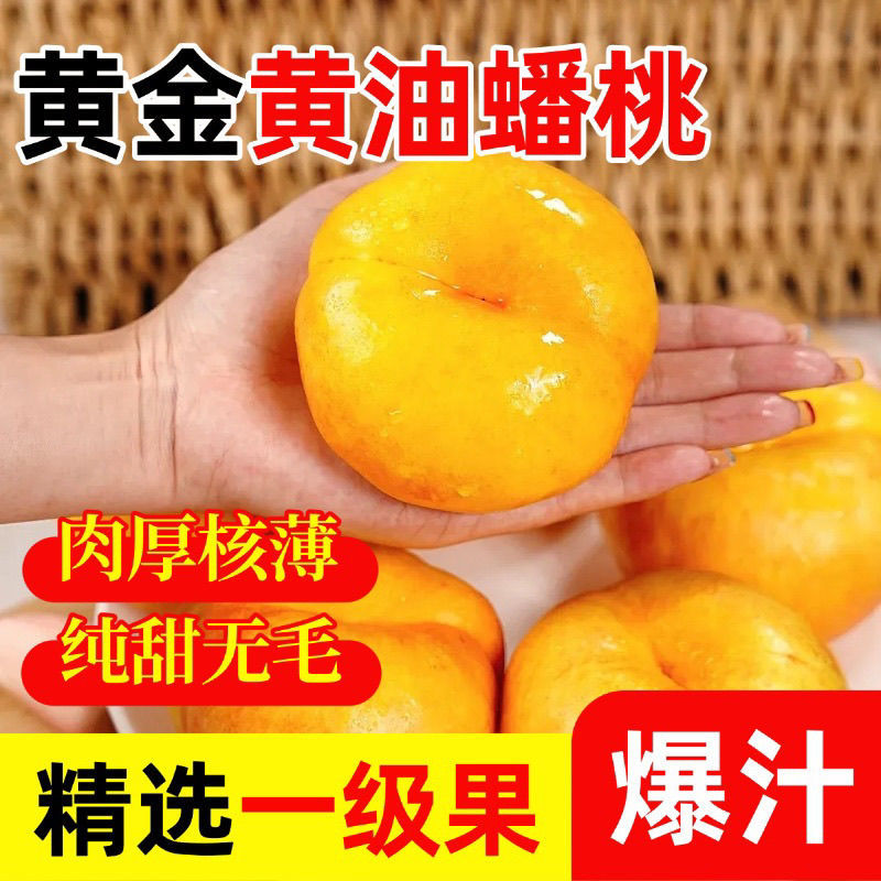 蟠桃9号一手货源品质保证好吃不贵量大价优对接全国客商