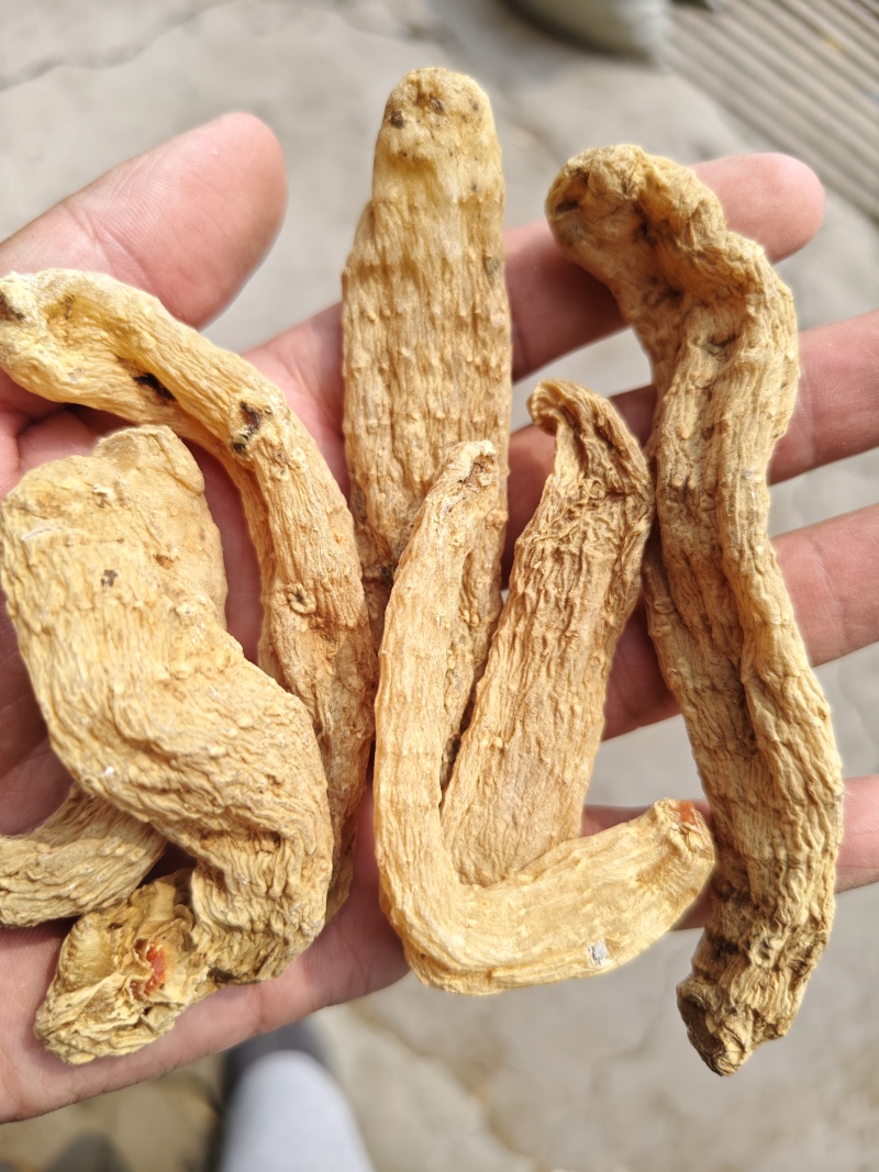 天麻中药材天麻个天麻切片规格齐全量大优惠