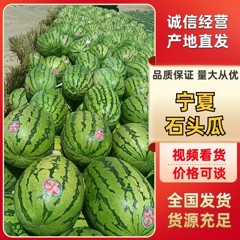【石头瓜】宁夏硒砂瓜石头瓜价格可谈产地直发全国发货