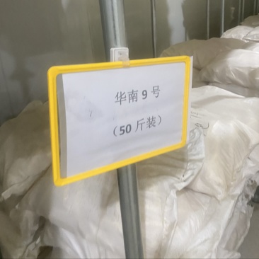 全年供应木薯（冻薯、鲜薯）