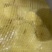 全年供应木薯（冻薯、鲜薯）